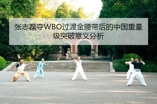 张志磊夺WBO过渡金腰带后的中国重量级突破意义分析